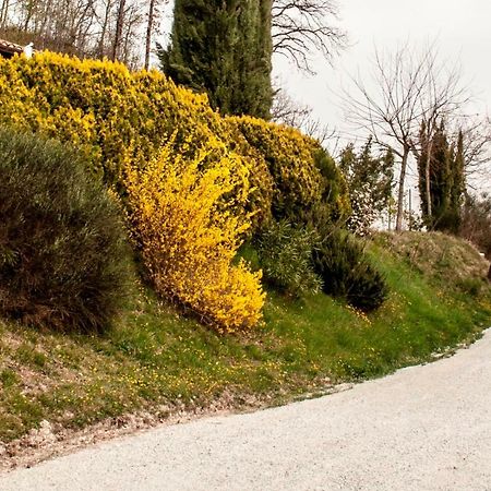 Bed and Breakfast Calmancino Delle Selve Urbino Exterior foto