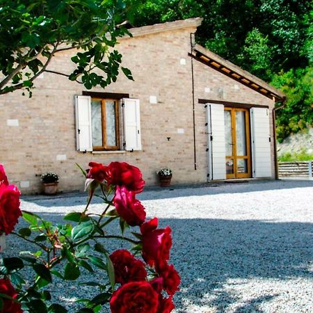 Bed and Breakfast Calmancino Delle Selve Urbino Exterior foto