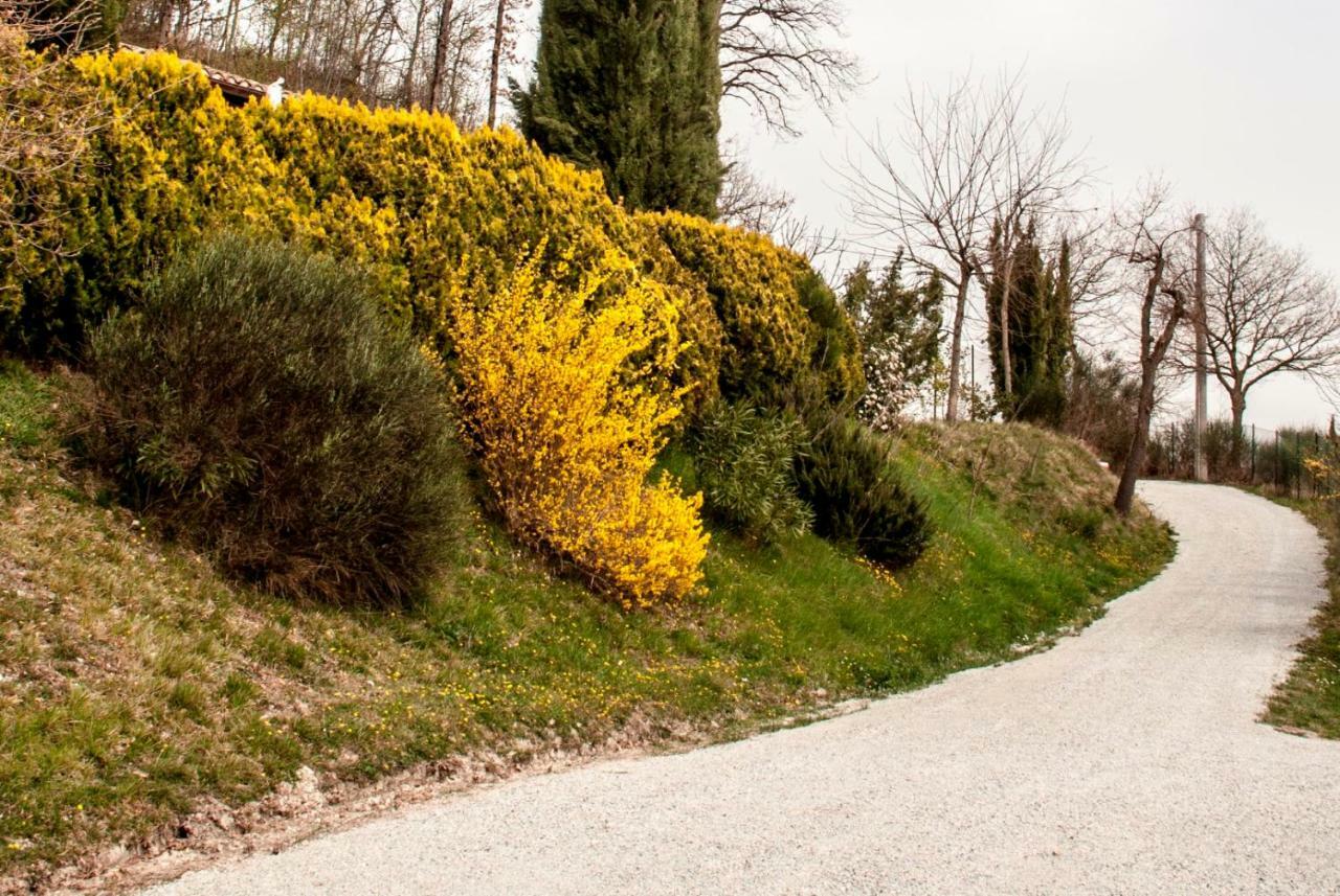 Bed and Breakfast Calmancino Delle Selve Urbino Exterior foto