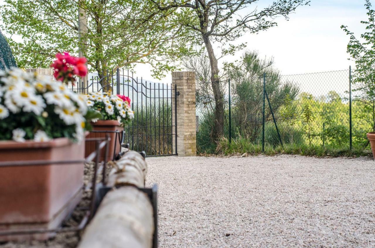 Bed and Breakfast Calmancino Delle Selve Urbino Exterior foto