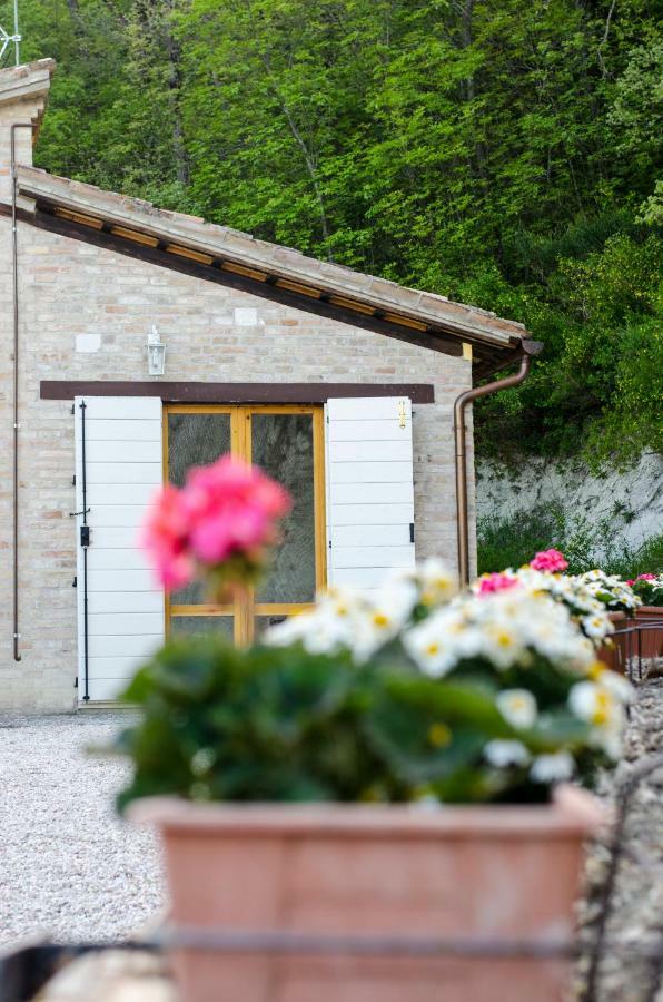 Bed and Breakfast Calmancino Delle Selve Urbino Exterior foto