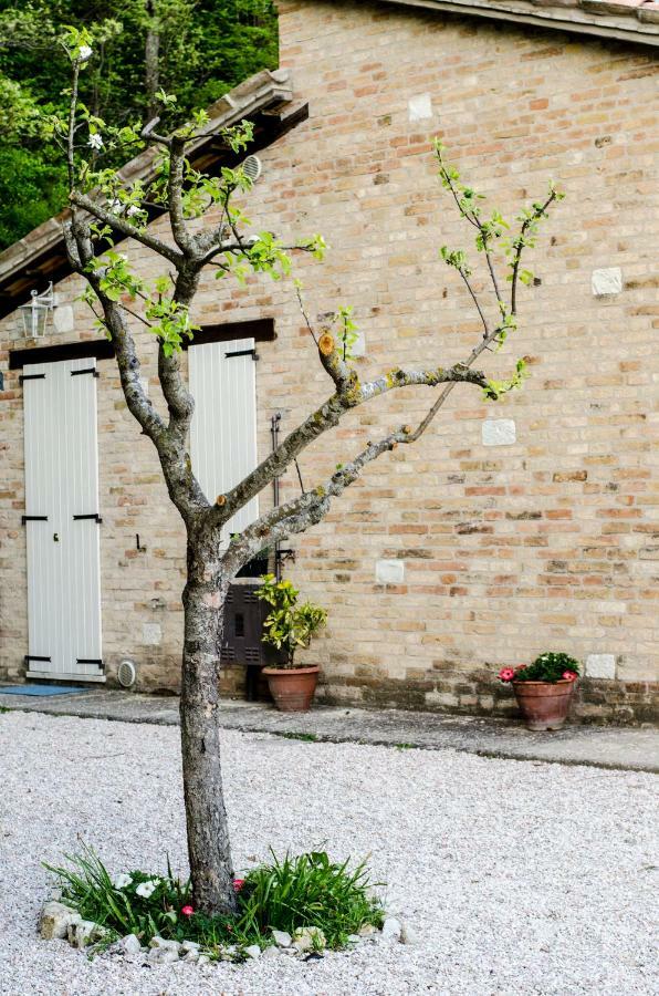 Bed and Breakfast Calmancino Delle Selve Urbino Exterior foto