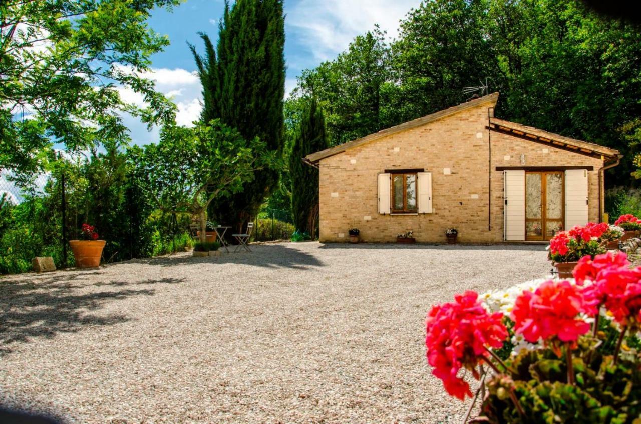 Bed and Breakfast Calmancino Delle Selve Urbino Exterior foto