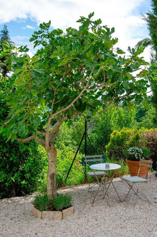 Bed and Breakfast Calmancino Delle Selve Urbino Exterior foto