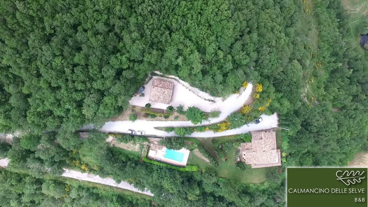 Bed and Breakfast Calmancino Delle Selve Urbino Exterior foto