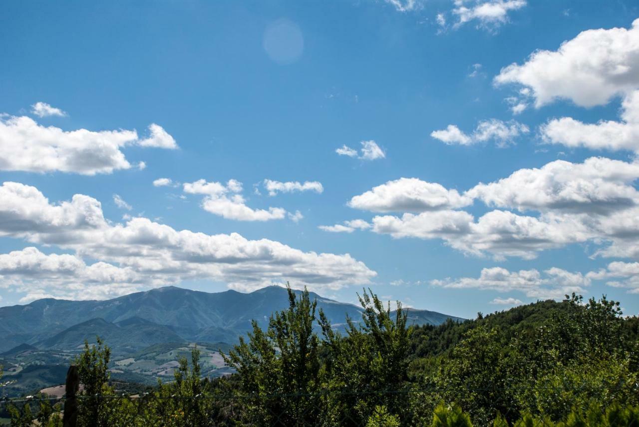 Bed and Breakfast Calmancino Delle Selve Urbino Exterior foto
