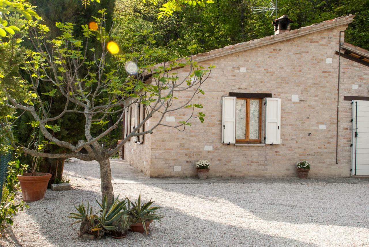 Bed and Breakfast Calmancino Delle Selve Urbino Exterior foto