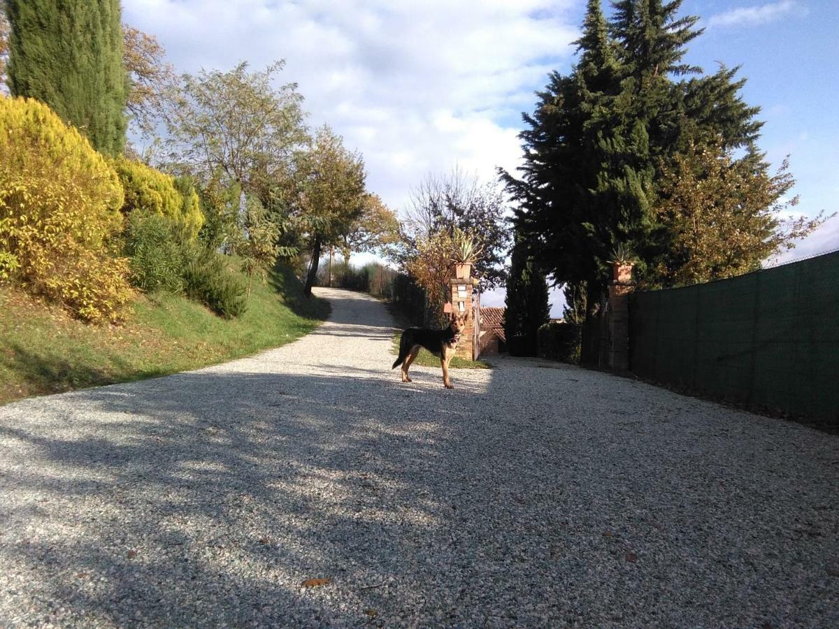 Bed and Breakfast Calmancino Delle Selve Urbino Exterior foto